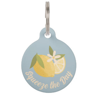Médaillon Pour Animaux Squeeze the Day Citrus bleu personnalisé Chien