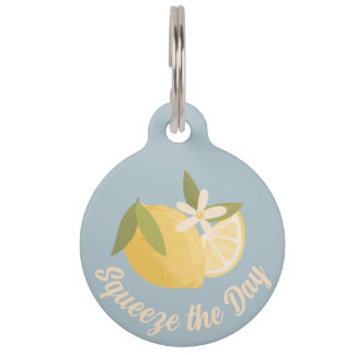 Médaillon Pour Animaux Squeeze the Day Citrus bleu personnalisé Chien