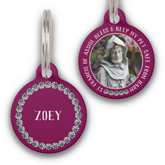 Médaillon Pour Animaux St Francis Safe Pet Protector Name Photo Custom
