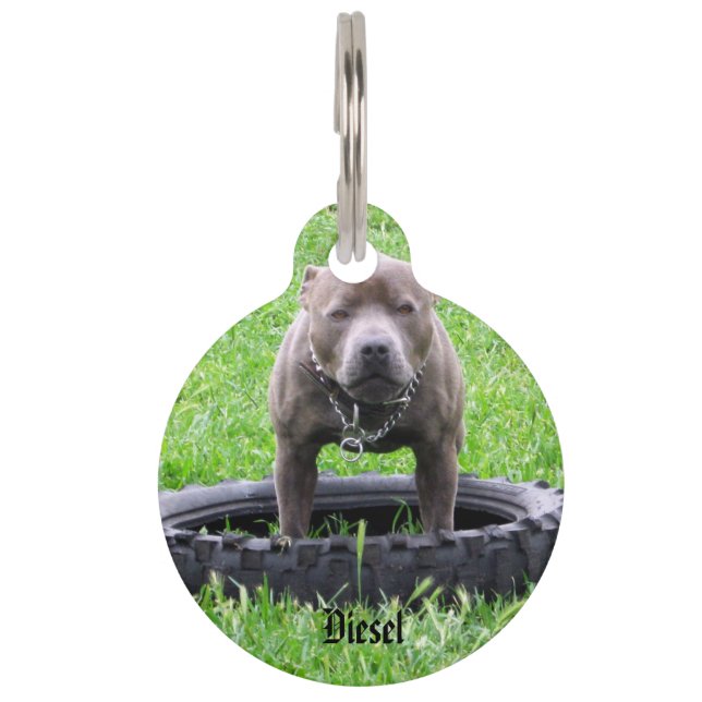 Médaillon Pour Animaux Staffy avec logo du nom Diesel, (Devant)
