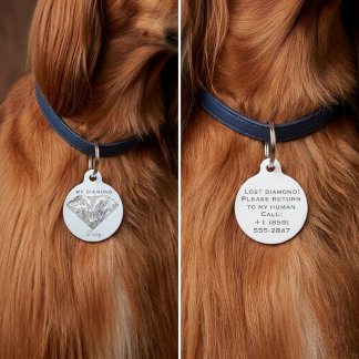 Médaillon Pour Animaux Stylish Diamond Jewelry Personalized Round Pet Tag