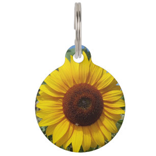 Médaillon Pour Animaux Sunny Sunflower