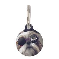 Superbe Shih Tzu lunettes vintage rétro Photo Mono