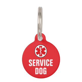 Médaillon Pour Animaux Symbole d'alerte médicale animale pour chien d'ass
