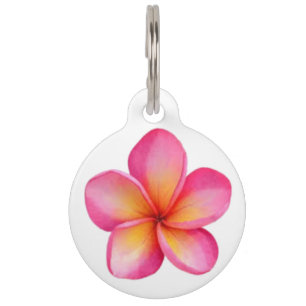 Médaillon Pour Animaux Tag de animal de compagnie Frangipani