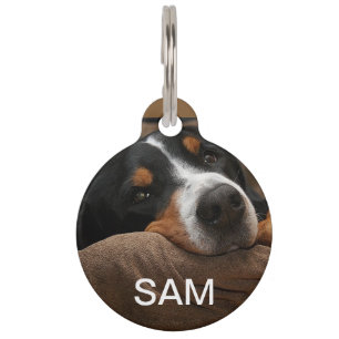 Médaillon Pour Animaux Tag de chien animal de compagnie