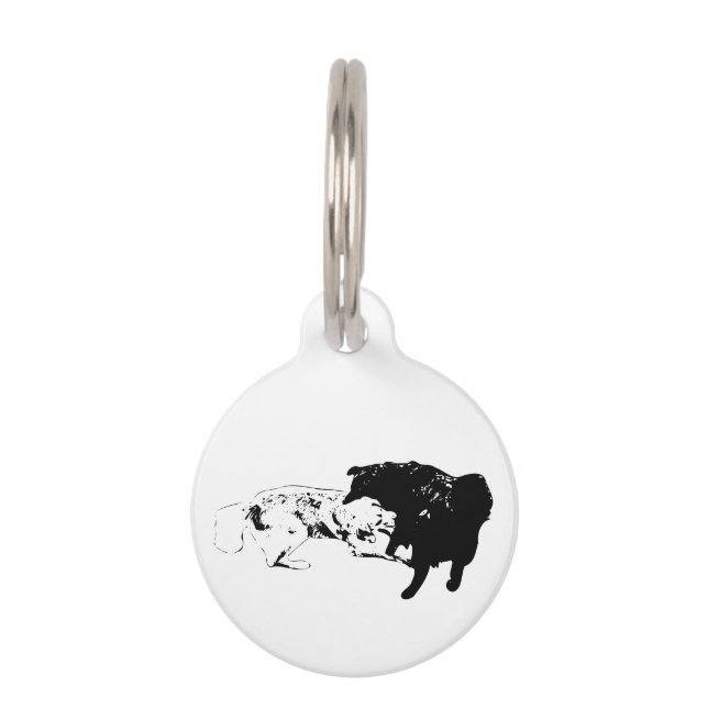Médaillon Pour Animaux Tag Team, Accent Ludique (Devant)