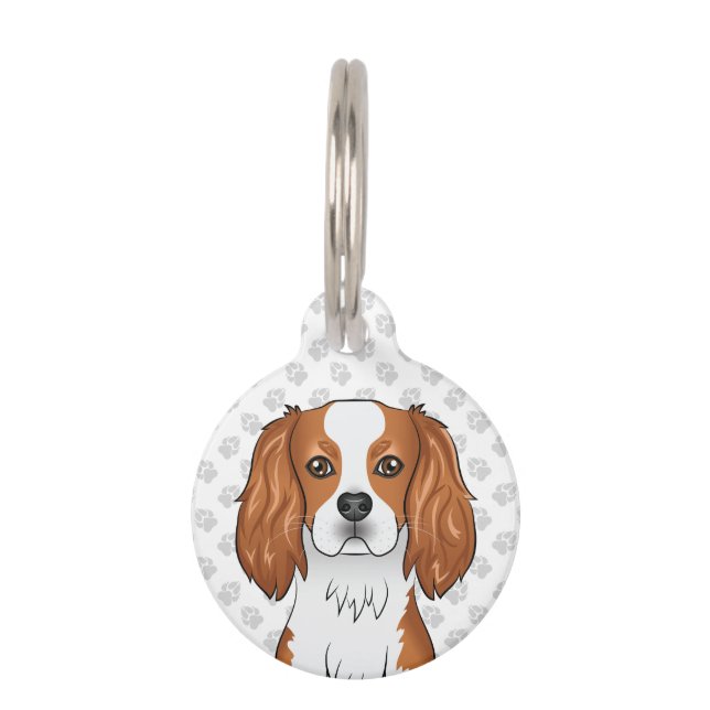 Médaillon Pour Animaux Tête de Cavalier King Charles Spaniel Blenheim (Devant)