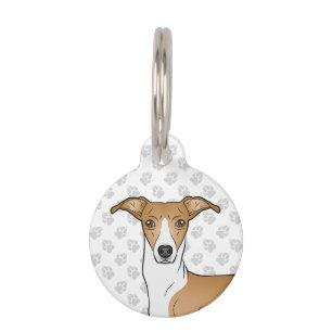 Médaillon Pour Animaux Tête de chien Lévrier Italien fauve et blanc