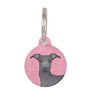 Médaillon Pour Animaux Tête de chien mignon Greyhound Italien Bleu avec c