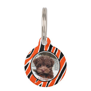 Médaillon Pour Animaux Tiger Stripe Custumizable - orange/noir