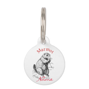 Médaillon Pour Animaux Tonnerre_Cove d'animal de marmotte cuite