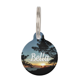 Médaillon Pour Animaux Torrey Pine Sunset III Paysage californien