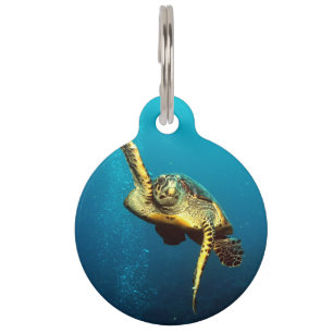 Médaillon Pour Animaux Tortue de mer nageant sous l'eau