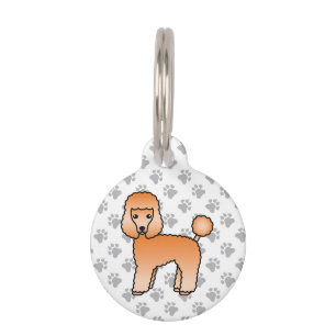Médaillon Pour Animaux Toudou Caniche Jouet Abricot Info Chien & Animal d