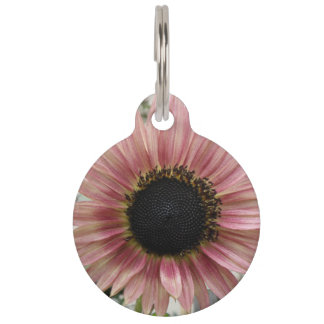 Médaillon Pour Animaux Tournesol rose pâle Personnalisé