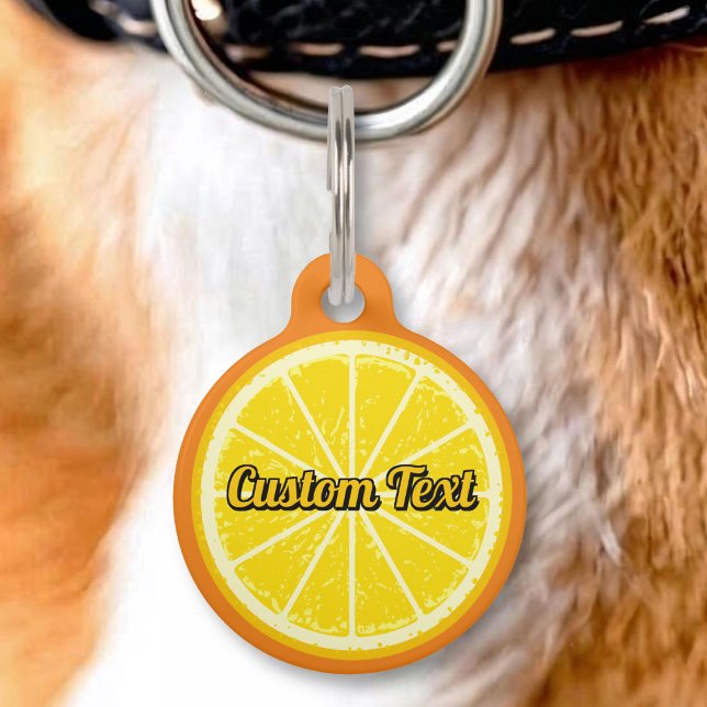Médaillon Pour Animaux Tranche d'orange (Créateur téléchargé)