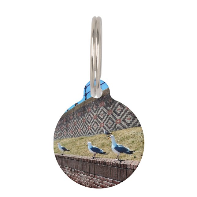 Médaillon Pour Animaux Trois mouettes (Devant)