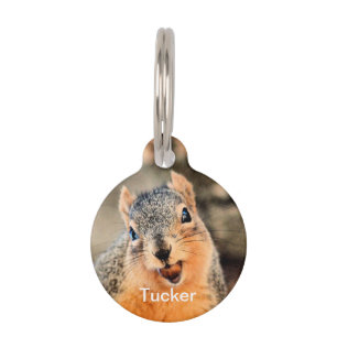 Médaillon Pour Animaux Trop mignon