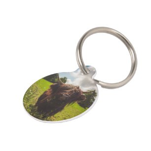 Médaillon Pour Animaux Vache noire pâturage vert champ soleil