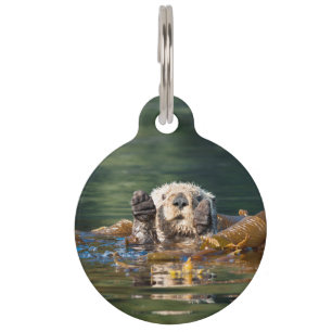 Médaillon Pour Animaux Vague Louter de mer