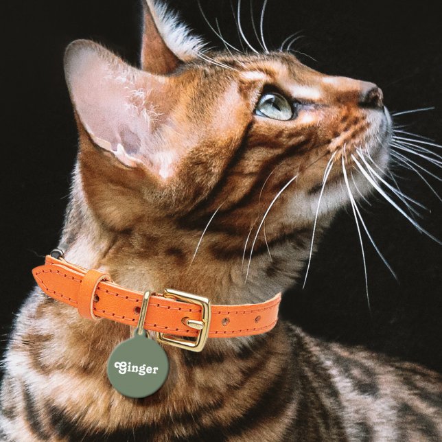 Médaillon Pour Animaux Vert sage (Créateur téléchargé)