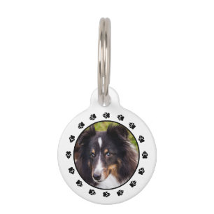 Médaillon Pour Animaux Votre photo personnalisée pour animaux de compagni