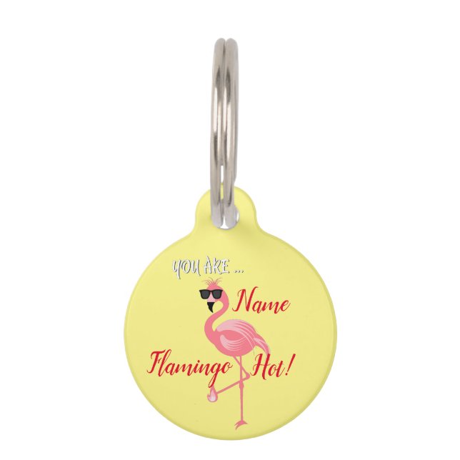 Médaillon Pour Animaux Vous Êtes Flamant rose Hot Thunder_Cove (Devant)
