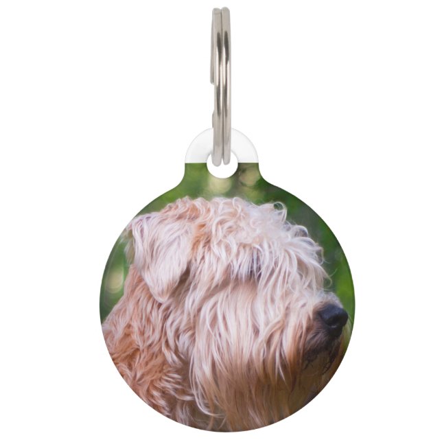 Médaillon Pour Animaux Wheaten Terrier (Devant)