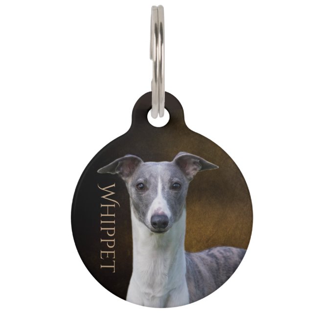 Médaillon Pour Animaux Whippet (Devant)