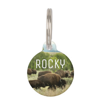 Médaillon Pour Animaux Wyoming Bison Nature Animal Photographie