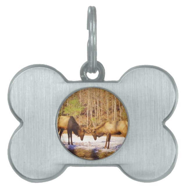 Médaillons Pour Animaux Domestiques 2~ deux Bull Elk dans la neige (Devant)