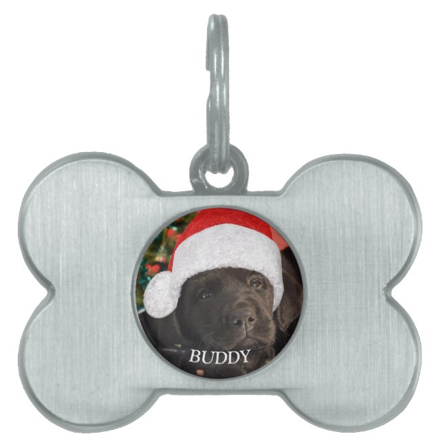 Médaillons Pour Animaux Domestiques Amoureux des chiens personnalisé photo animal de c (Devant)