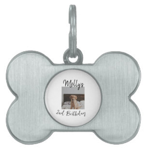 Médaillons Pour Animaux Domestiques Animateur chien chat animal photo moderne simple