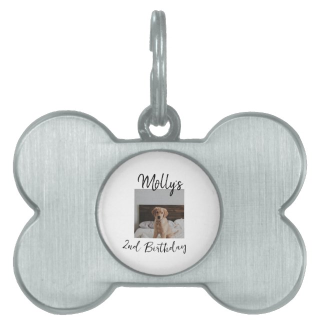 Médaillons Pour Animaux Domestiques Animateur chien chat animal photo moderne simple (Devant)