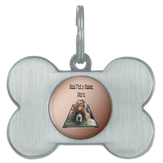 Médaillons Pour Animaux Domestiques Art Cavalier Spaniel Popout,  (Devant)