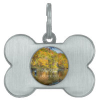 Balise Bennett Spring Automne Fishing Pet
