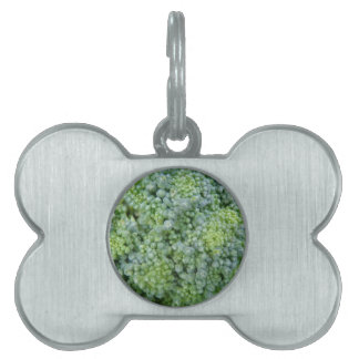 Médaillons Pour Animaux Domestiques Balise Broccoli Macro et animal de compagnie