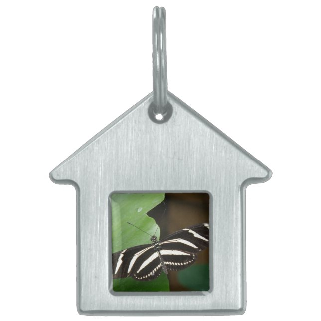 Médaillons Pour Animaux Domestiques Balise de papillon à aile longue Zebra (Devant)