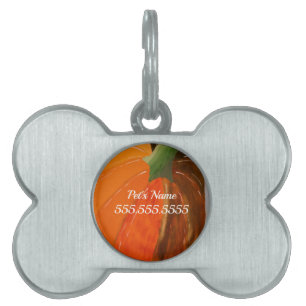 Médaillons Pour Animaux Domestiques Balise d'identification de l'animal de compagnie C