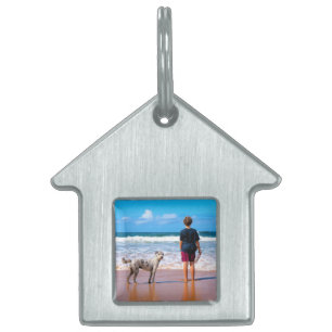 Médaillons Pour Animaux Domestiques Balise d'identification de l'animal de compagnie p