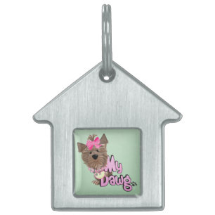 Médaillons Pour Animaux Domestiques Balise My Dawg Pet House