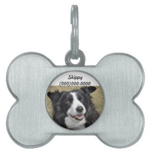 Médaillons Pour Animaux Domestiques Balise Nom de l'animal de compagnie Collie Bordure