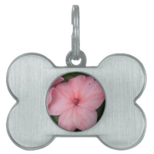 Médaillons Pour Animaux Domestiques Balise Pale Rose Impatiens Flower Pet