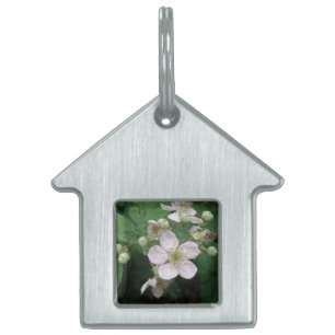 Médaillons Pour Animaux Domestiques Balise pour animal de compagnie Blackberry Flowers