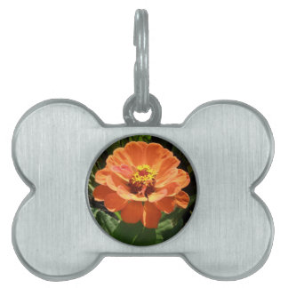 Médaillons Pour Animaux Domestiques Balise pour animal de compagnie Orange Zinnia