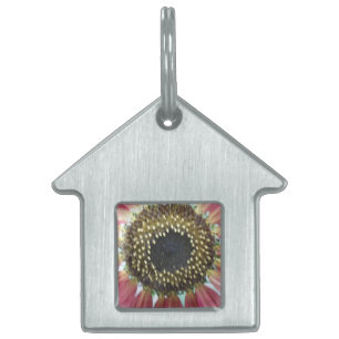 Médaillons Pour Animaux Domestiques Balise Pretty Pink Sunflower Pet