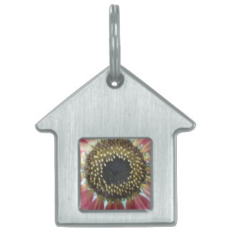 Médaillons Pour Animaux Domestiques Balise Pretty Pink Sunflower Pet