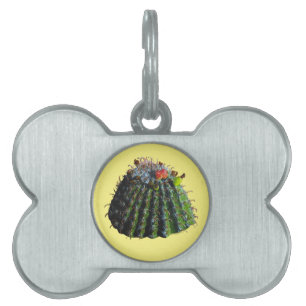 Médaillons Pour Animaux Domestiques Barrel Cactus Animaux
