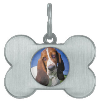 Médaillons Pour Animaux Domestiques Basset Hound Chien Design